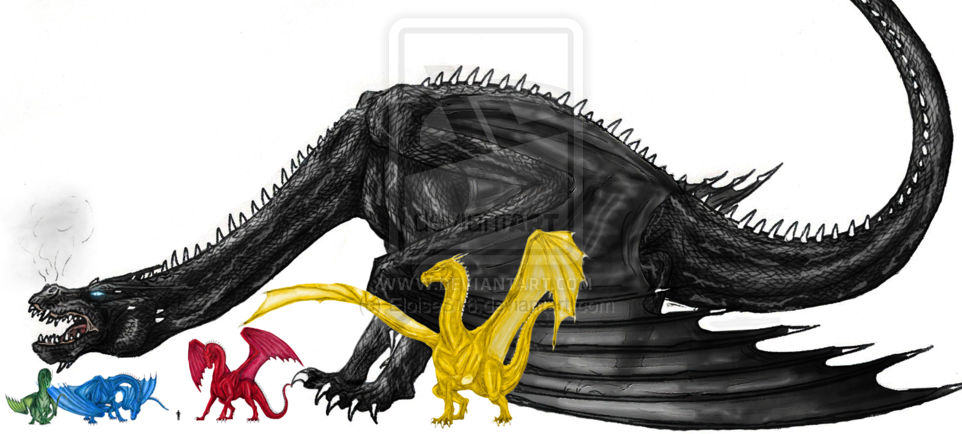 See the dragons of the Inheritance Cycle side-by-side to scale for the first time!