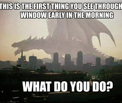 You wake up in the morning, only to see this outside your window… What do you do?!