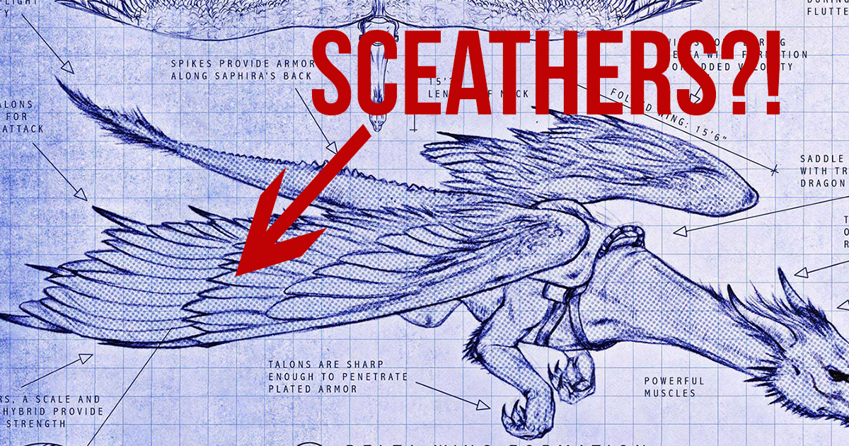 Fox officially called Saphira’s wings “sceathers,” feathered tail, and hairy mane